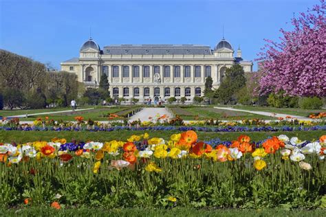  Der Jardin des Plantes: Ein botanischer Traum mitten in der Stadt