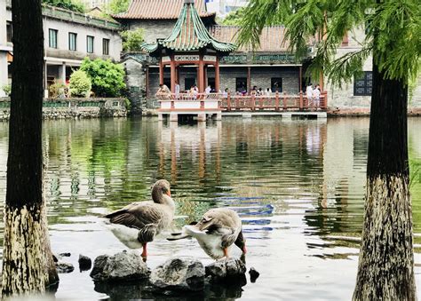 Der Keyuan Garten - Ein versteckter Juwel der chinesischen Kultur und Zen-Ruhe!