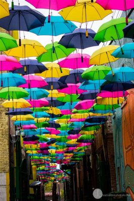 Das Umbrella Alley: Ein bunter Regenbogen aus Schirmen in Utah!