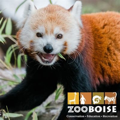 Der Zoo Boise: Ein arktischer Abenteuerplatz für die ganze Familie!