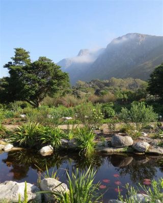  Die Harold Porter Botanischer Garten - Ein Paradies für Blumenliebhaber in den Bergen der Kap-Halbinsel!