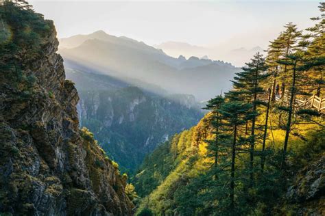 Die Shennongjia-Nationalparks: Mystische Wälder und legendäre Wesen!