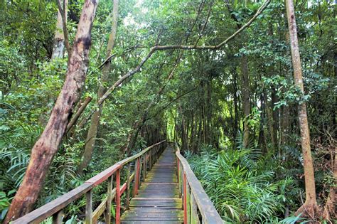 Die wunderschöne Lekki Conservation Centre: Ein Paradies für Naturliebhaber und Abenteuerlustige!