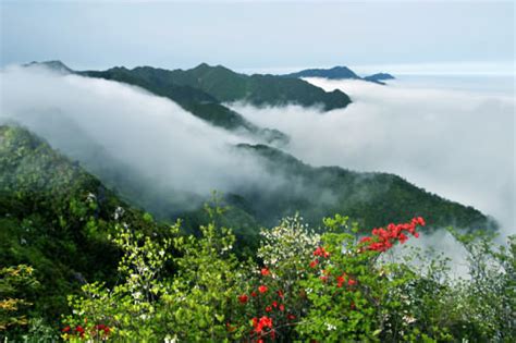  Der Jinggangshan - Eine Reise in die Geschichte und Schönheit der Natur!