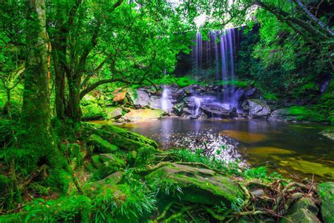  Der Phu Kradueng Nationalpark: Eine Wanderung durch Nebelmeer und Felsformationen!