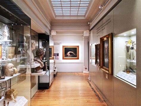 The Surgeons' Hall Museums: Ein Einblick in die faszinierende Geschichte der Chirurgie!